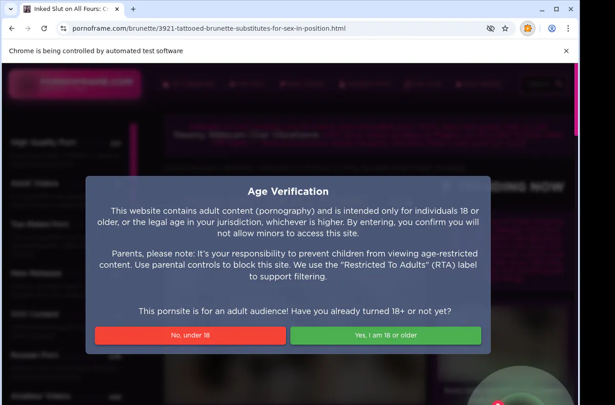 Pornoframe Video Downloader browser extension screenshot 2