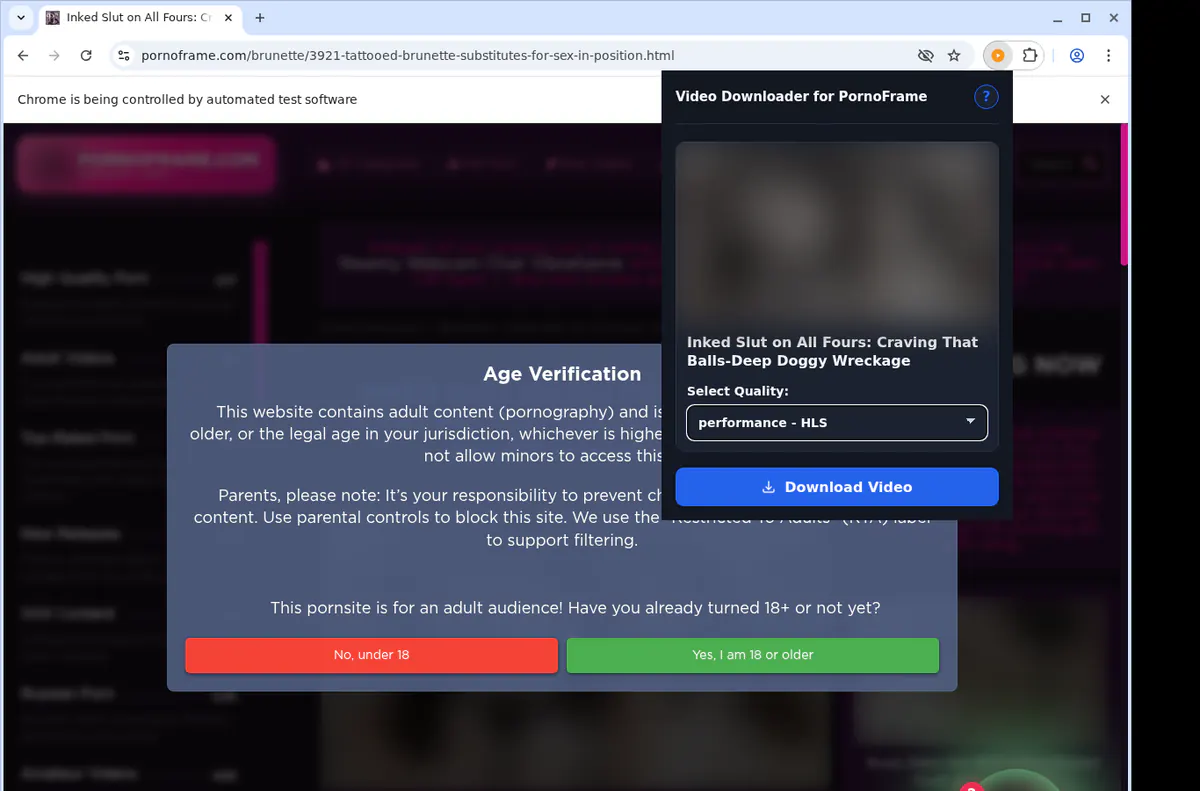 Pornoframe Video Downloader browser extension screenshot 3