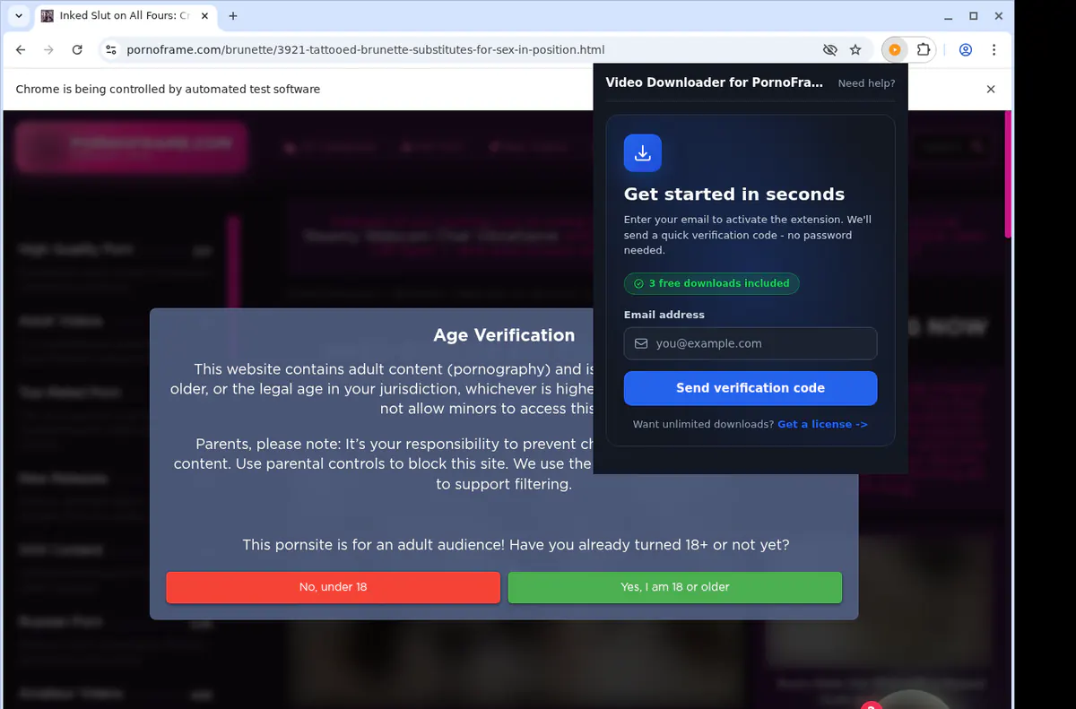 Pornoframe Video Downloader browser extension screenshot 4