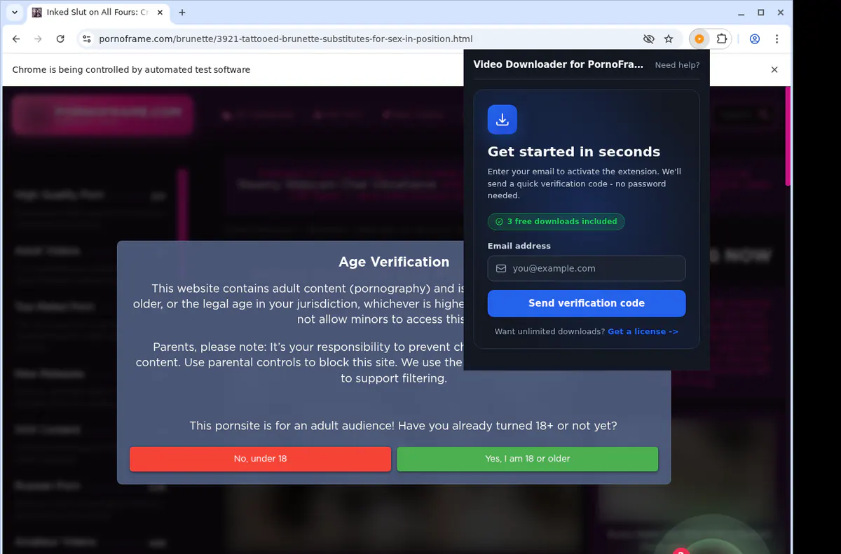Pornoframe Video Downloader browser extension screenshot 5